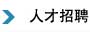 貝賽爾特人才招聘